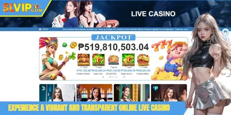 Experience a vibrant and transparent online live casino