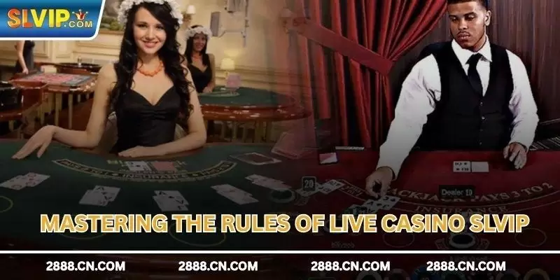 SLVIP Live Casino