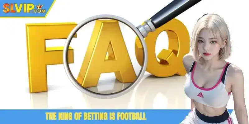 Q&A section helps you understand more about the section