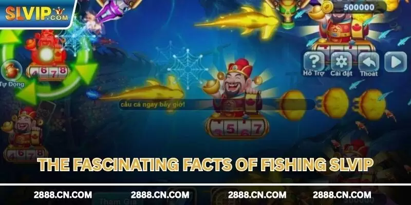 The fascinating facts of Fishing SLVIP