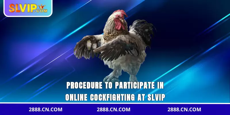Procedure to participate in online sabong at SLVIP