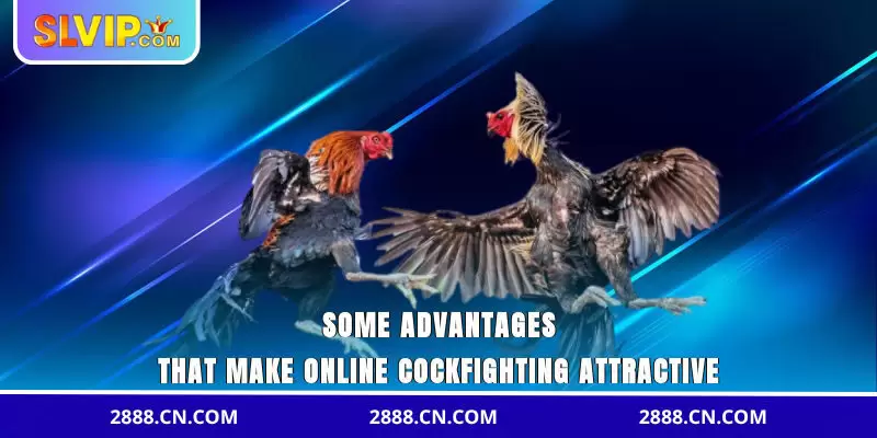 Some advantages that make online sabong attractive