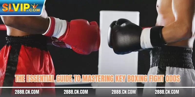 The essential guide to mastering key boxing fight odds