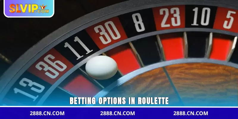 Betting options in Roulette