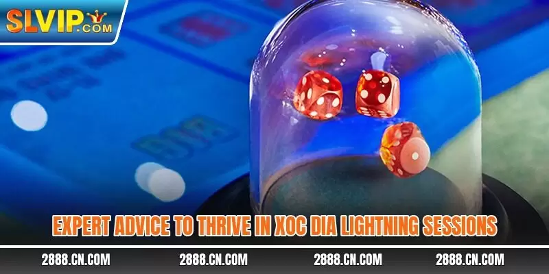 Expert advice to thrive in xoc dia lightning sessions