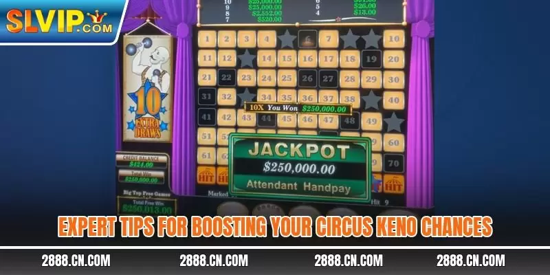Expert tips for boosting your Circus Keno chances