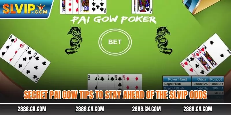 Secret Pai Gow tips to stay ahead of the SLVIP odds