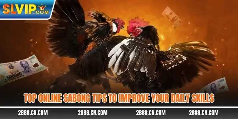 Top Online Sabong tips to improve your daily skills