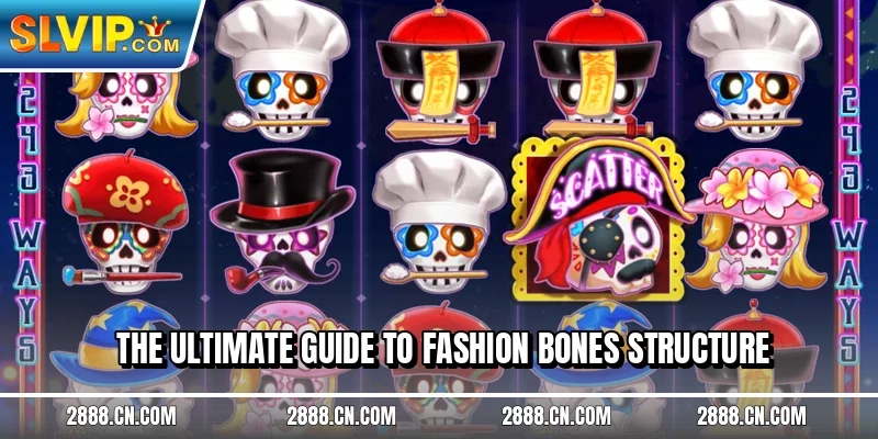 The ultimate guide to Fashion Bones structure
