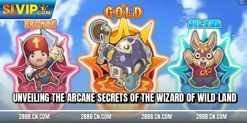 Unveiling the arcane secrets of the Wizard of Wild land