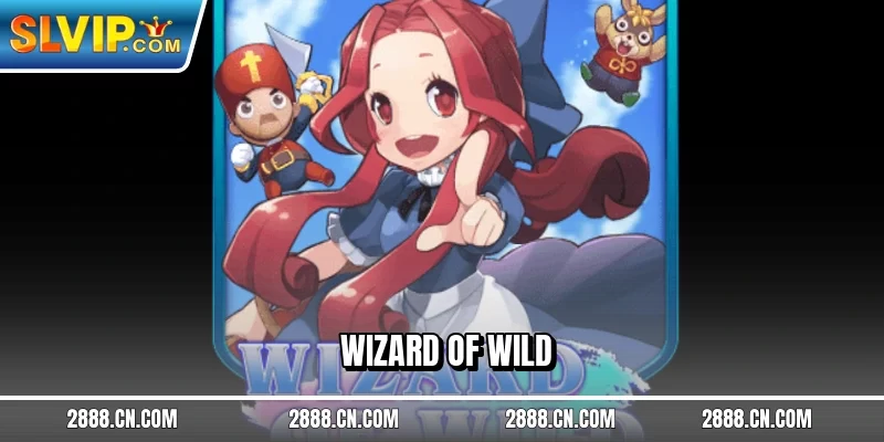 Wizard Of Wild